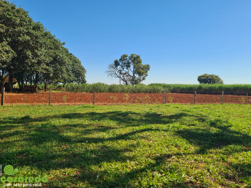 45 KM DE BARRETOS SENTIDO A COLOMBIA